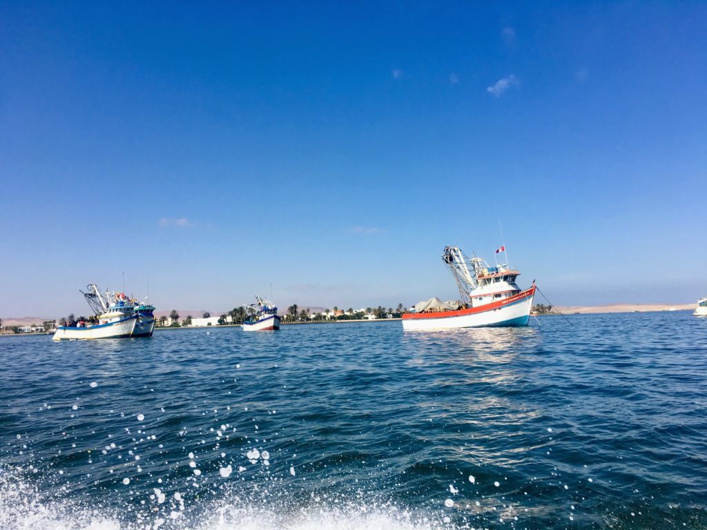 paracas fishing boats peru