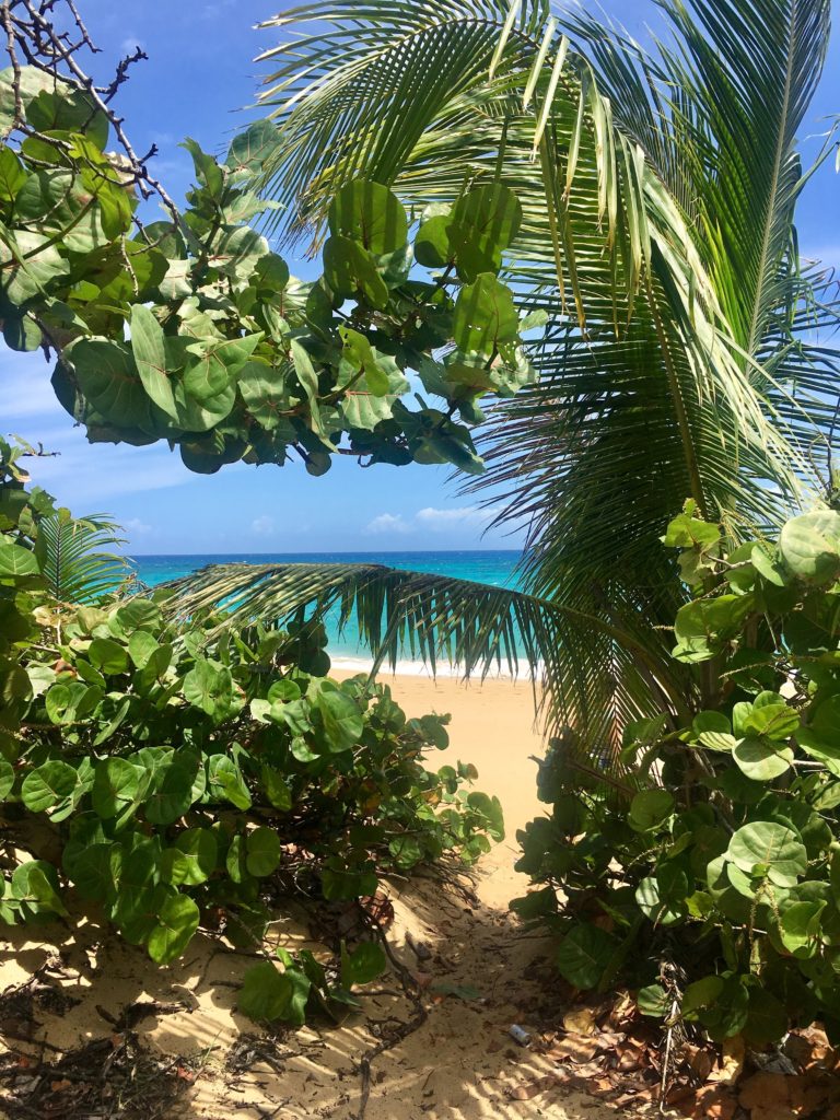 playa la esperanza