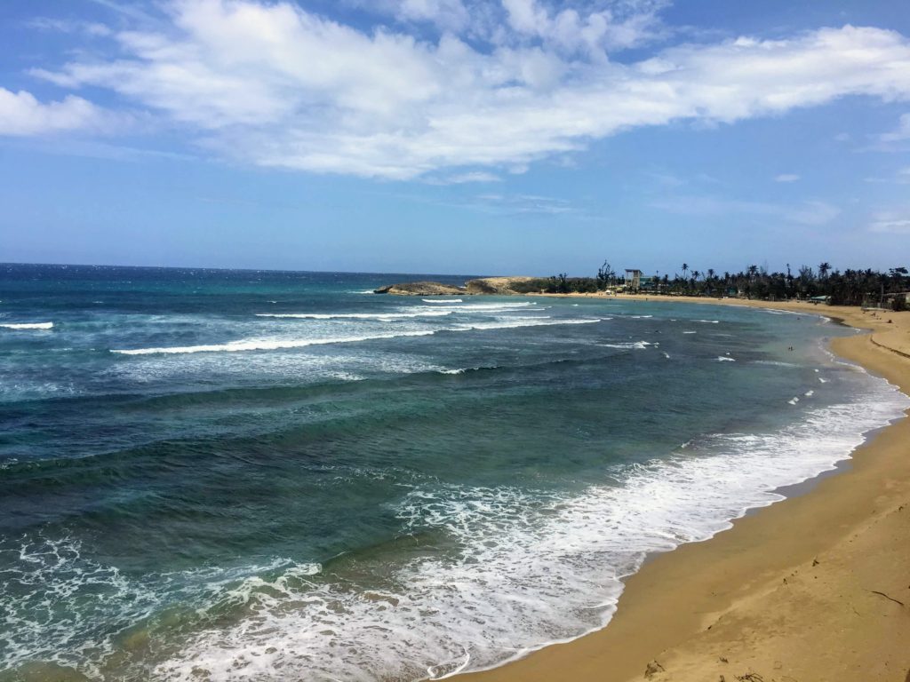 jobos beach Puerto Rico