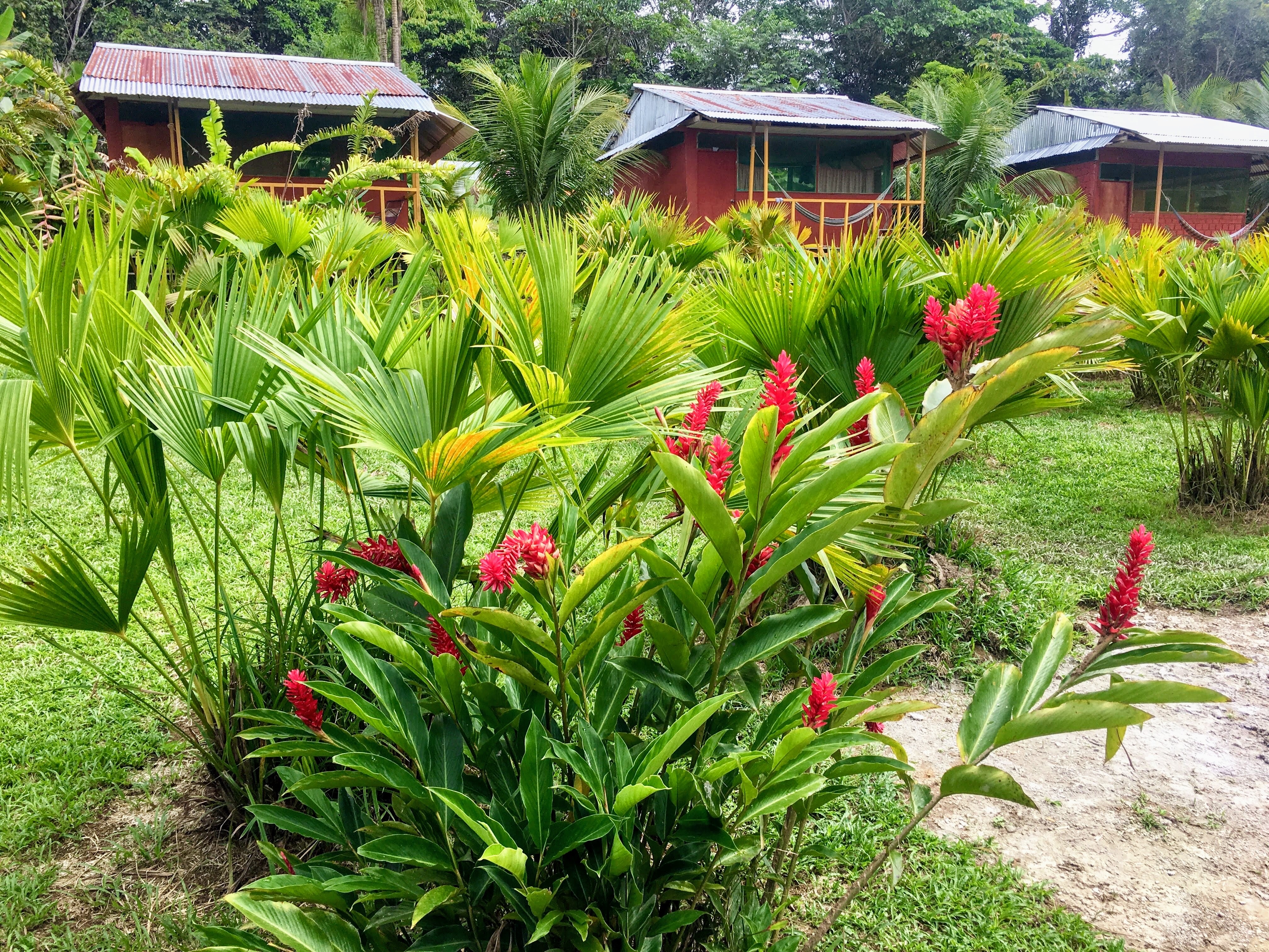 eco lodge courtyard