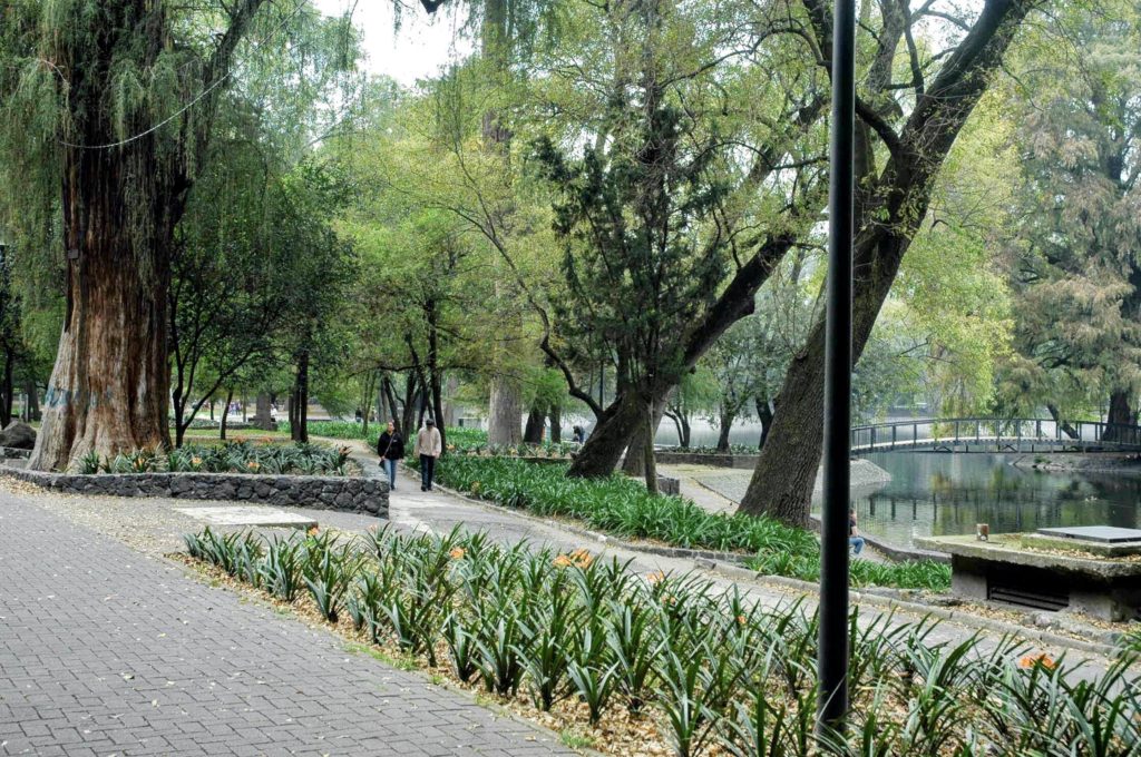 Bosque de Chapultepec