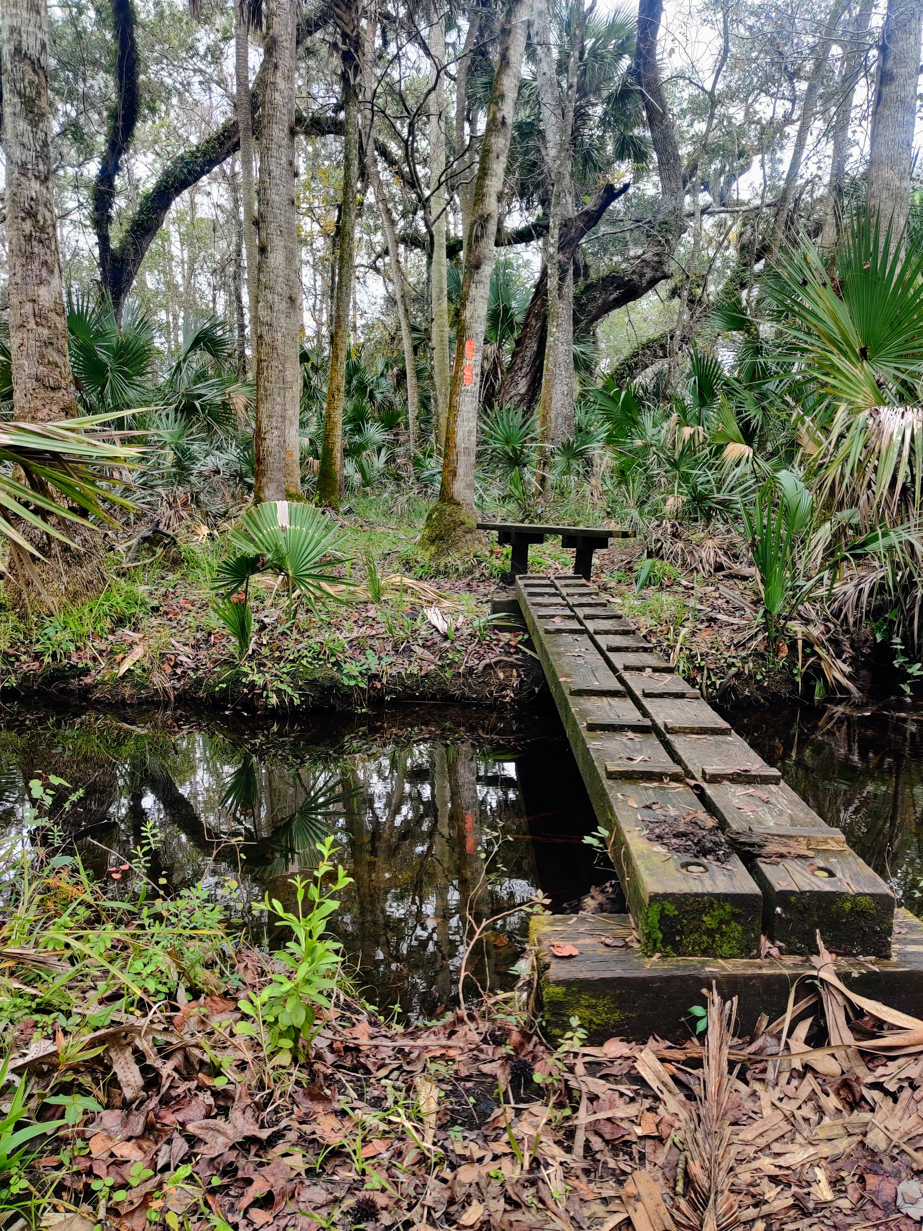 Florida Trail